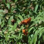 MysteryCruise_0059 (September 06, 2013)